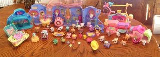   of Littlest Pet Shop animals, House, Lighted Aquarium, many accesories