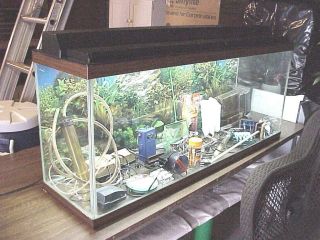 55 GALLON AQUARIUM TANK HOOD LIGHT EXTRAS LOCAL PICK UP ONLY IN 