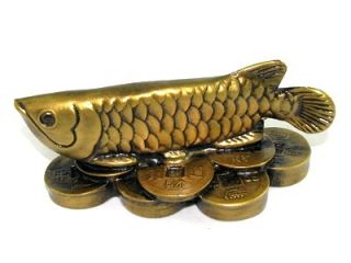 the arowana also known by the chinese as the golden dragon or living 