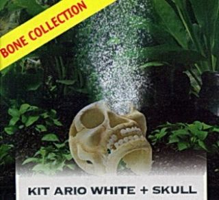 Human Skull Submersible Aquarium Decor Air Pump Kit w 4 White LED 