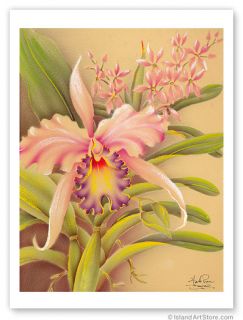 Hawaiian Print Hawaii Art Deco Beautiful Pink Cattleya Orchid Hale Pua 