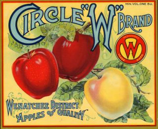 Circle w Vintage Apple Crate Label Wenatchee 1920s RARE