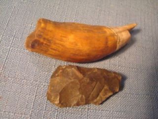 Indian Stone Artifacts Arrowhead Axe Grinder Fossil Marked Taylors 