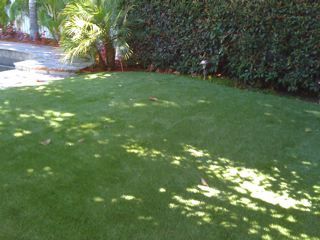 Artificial Turf Grass Blow Out Sale Please Inquire 6 Samples in A Pack 
