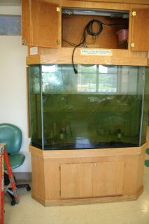 230 Gallon Fish Tank Aquarium W Furniture and Filtration System