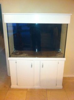  Glass Aquarium Fish Tank with Stand and Canopy Pick Up Only