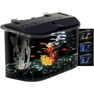Aquarius AQ15005 PanaView Aquarium Kit with 3 Color LED Lighting, 5 