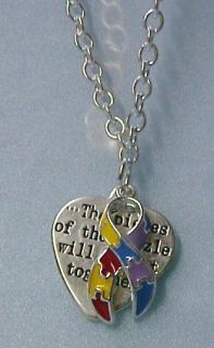 Autism Asperger Color Puzzle PC Necklace Earring Set