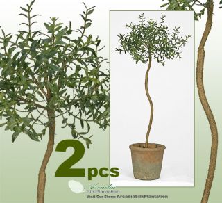 TW O 26 Myrtle Topiary Artificial Trees Silk Plant 710