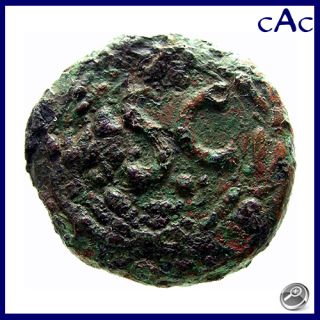 CAC Augustus Syria Antioch Laureate Head SC Within Wreath 27 BC 14 Ad 