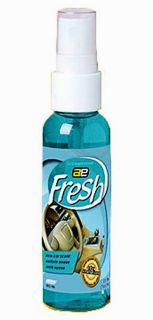 Auto Expressions Outdoor Breeze Car Liquid Spray Air Freshener 2 oz 