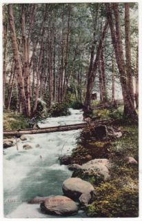 Fishing Ashland Creek Canyon Oregon Scenic Vintage Postcard c1910 20s 