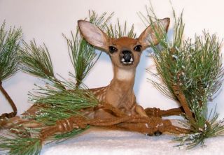 BABY FAWN WHITETAIL DEER Taxidermy MOUNT No Antlers Bambi NEW Spotted 