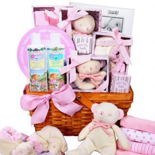 Baby Girl Pink Newborn Gift Basket Footprint Keepsake Rattle Frame 