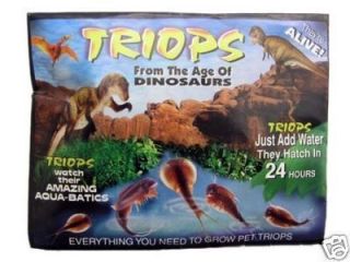 Sea Pet Triops Eggs Packet Educational Grow Your Own Triop Prehistoric 