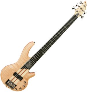 Tanglewood Canyon II 2 Long Scale 5 String Bass Guitar