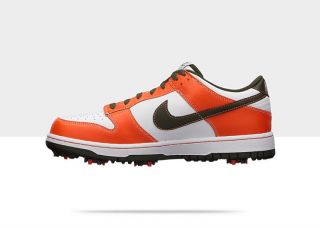 Nike Dunk NG Mens Golf Shoe 484294_101_D