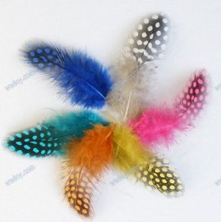 200pcs Wholesale Lot Guinea Fowl Spotted Feathers Mixed Colors