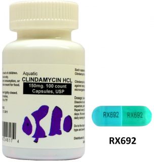 aquatic clindamycin 150mg 100 count usp antibiotic 