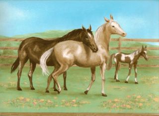   Golden Horses & Foals for Girls 45 feet Wallpaper Border 246