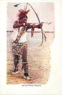 Native American Indian Warrior Archery Bow Arrow T80189