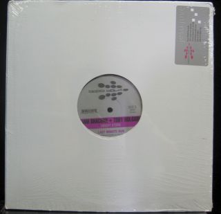   Toby Holguin Desert Storm 12 Mint BW004 Vinyl Prog House