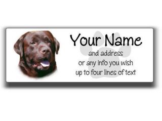 30 Chocolate Lab Labrador Address Labels Glossy Face