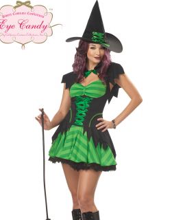 Sexy Green Womens Hocus Pocus Witch Plus Size Halloween Costume Dress 