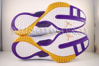 Nike Air Jordan XIX SE West White Metallic Gold Varsity Purple 11 New 