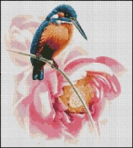 hummingbird cross stitch pattern