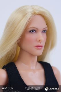 Triad Toys 1 6 Scale Amber Blond Hair Female Head Sculpt