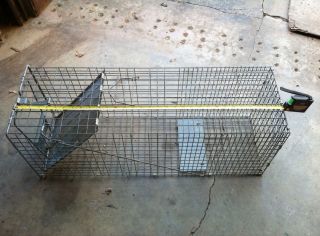 LIVE ANIMAL TRAP CAGE FOR RACOONS COYOTES MEDIUM SIZED ANIMALS