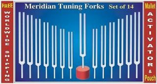 14 Meridian Accupuncture Tuning Forks w Activator+Pouch HLS EHS