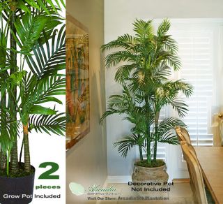 Two 6 Artificial Areca Palm Trees Silk Plants in Pot