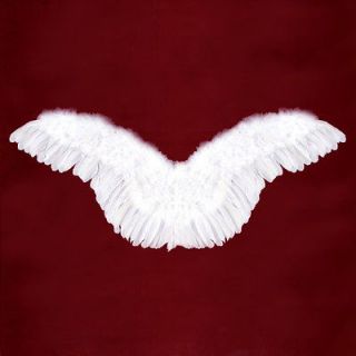 Large White Feather Angel Wings Adult Photo props 40x16 halloween 