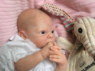 Reborn Baby Girl Doll HBN Evon Lynn Nather Sammie by Adrie Stoete 