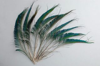 50 Pcs PEACOCK SWORDS Natural Feathers 10 14 Craft/Pad/Cost​ume 
