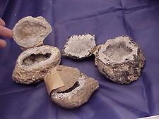 occo babies agate geode box gorgeous new brazilian time left