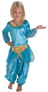 Arabian Princess Jazmine Dress Up Costume 2011 s 1 3yrs