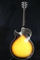 Asline Dane Jazz King Hollowbody Sunburst Electric Guitar Korean Made 