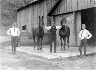 Glass Negative L L Co Barn Horse Cross Fork PA 9 23 1906