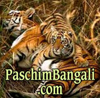 West Bengal Paschim Banga India New com Domain Name Paschimbangali 