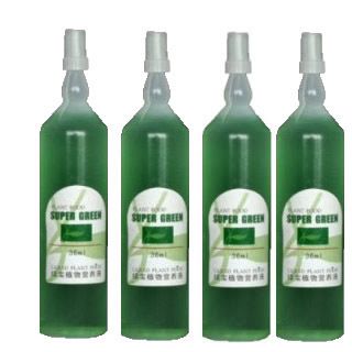 Bottles of Bamboo Plant Super Green Plant Food