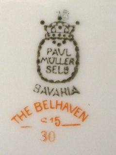 Paul Mueller Muller China Belhaven S15 Oval Platter 14