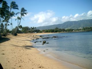 hawaiian beach glass genuine surf tumbled seaglass