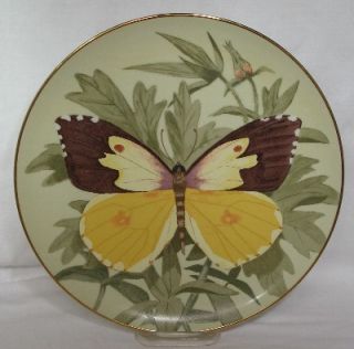 Bennington Porcelain Colias Eurydice Butterfly Plate