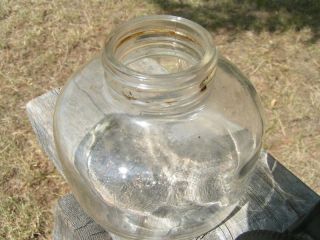 Vintage Black Flag Mosquito Bedbugs Metal Glass Sprayer