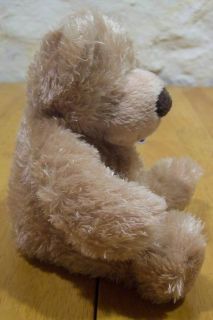 Mary Meyer Baby Bennett Bear Plush Stuffed Animal New