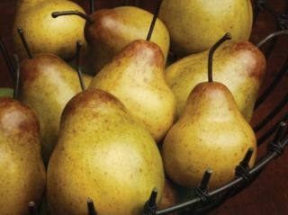 12 artificial faux anjou pears fruit vase filler time left