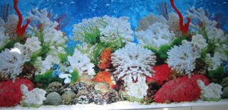 Aquarium Background Decoration Ornament 48 x 19 Coral Reef Salt 